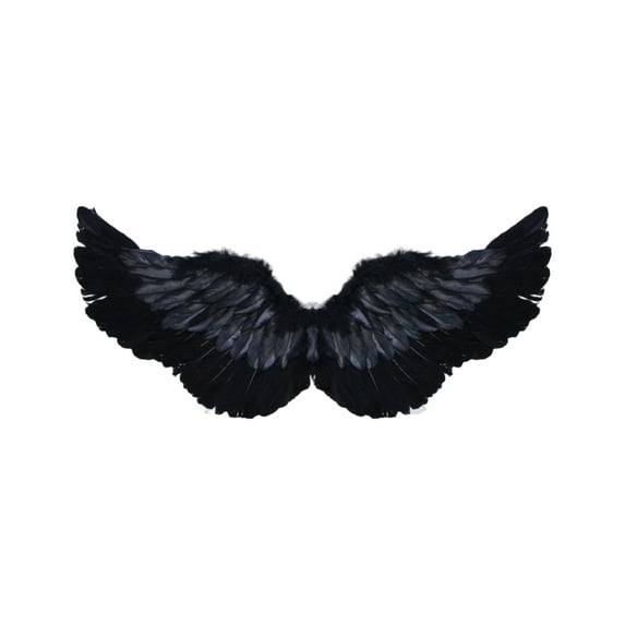 Angel Costume Wingss, Accessories For Carnival Or Theme Party, Carnival Costume, Christmas