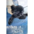 thumbnail image 1 of Angel Dog in Heaven: Angel Dogs leave paw prints in our heart forever, (Paperback), 1 of 1