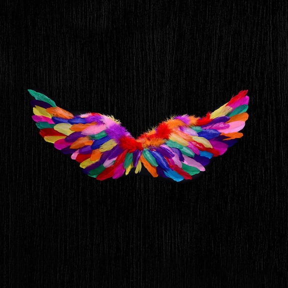 Angel Feather Wings for Adults, Light Up Costume Wings for Carnival Stage Performance Festival Party, Multicolor