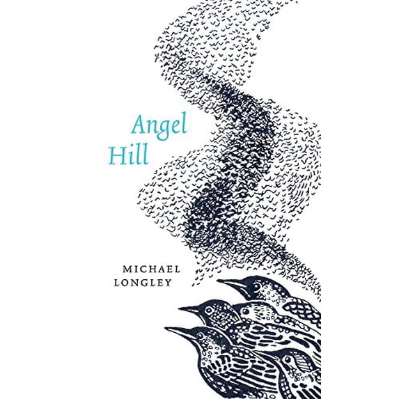 Pre-Owned Angel Hill (Paperback) 1930630816 9781930630819