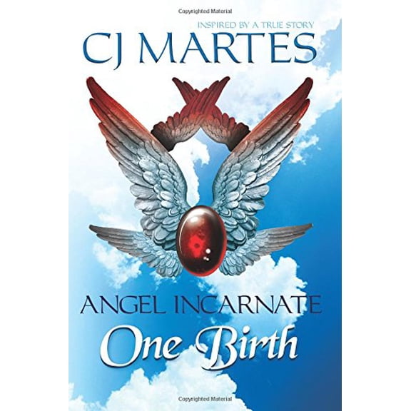 Pre-Owned Angel Incarnate: One Birth (Paperback) 0977229319 9780977229314