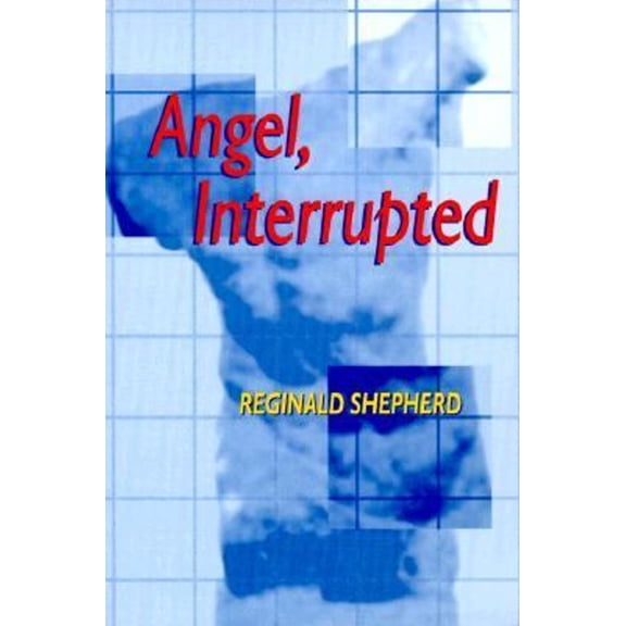 Pre-Owned Angel, Interrupted (Pitt Poetry Series), 9780822956143, 0822956144, Paperback, 1 edition