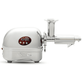 Angel Juicer America - Walmart.com