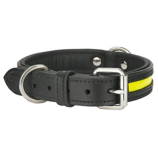 Angel Dog Collars in Dog Collars, Leashes, and Harnesses 