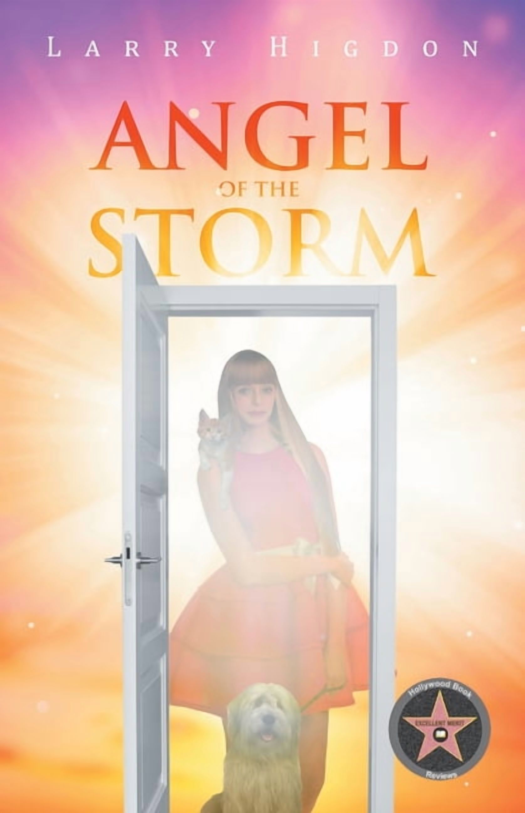 Angel Of The Storm, (Paperback)
