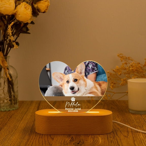 Angel Pet Remembrance Night Light, Flat 2D Acrylic Printed, Custom Cat Dog Photo Lamp, Bereavement Comfort Gift