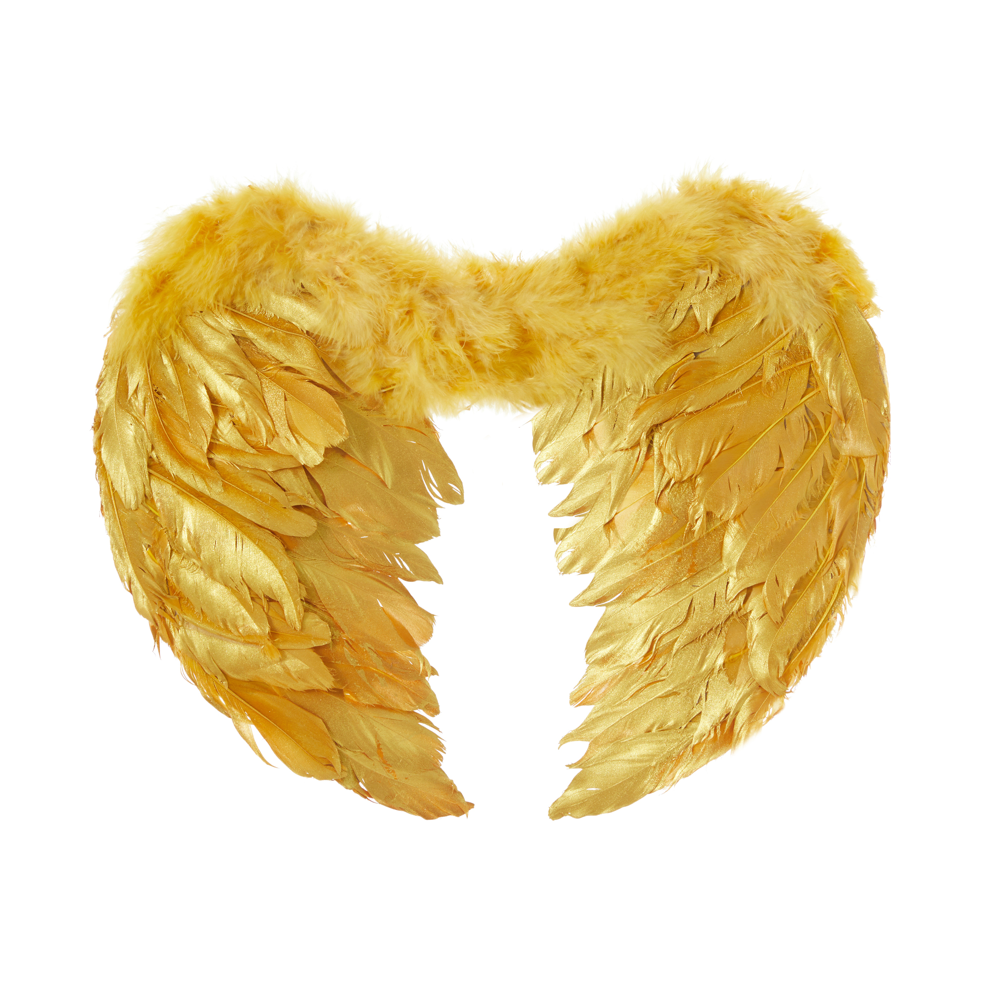 Angel Wings Costume for Kids with Adjustable Straps to Fit Most Sizes