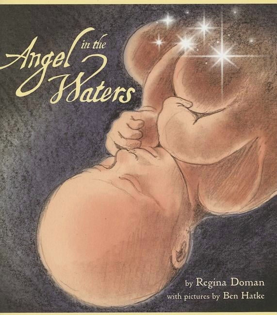Regina Doman, Paperback Book, Angel in the Waters, Birth
