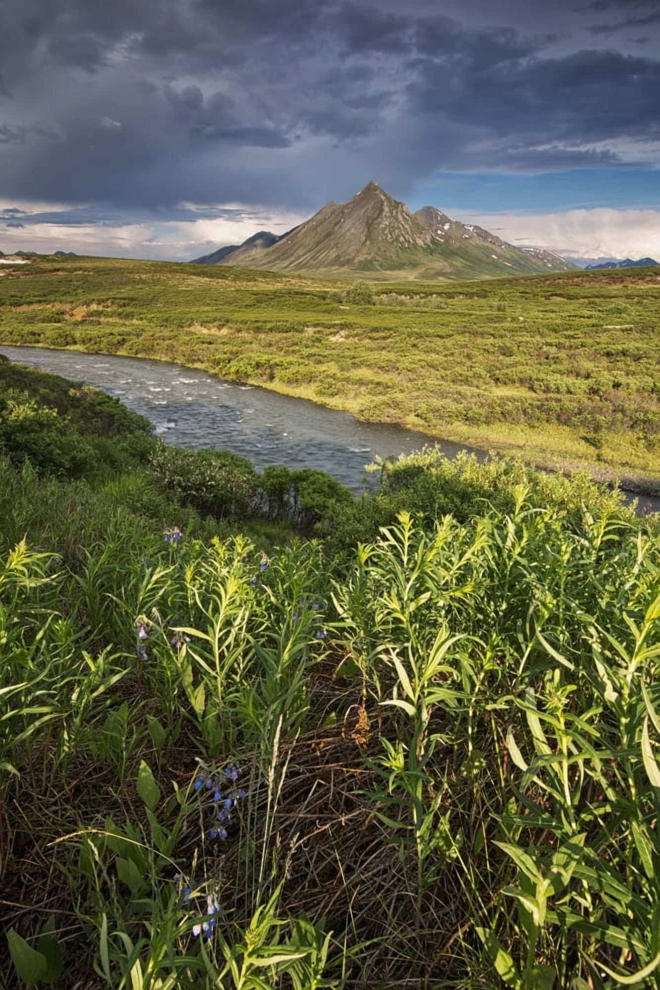 Angelcomb Mountain Lit By Late Afternoon Light Along The Dempster HighwayYukon Canada Canvas Art - Robert Postma Design Pics (24 x 38)