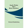 thumbnail image 1 of Angelic Wisdom about Divine Providence, (Paperback), 1 of 1