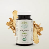 HerbEra Angelica Capsules, Organic Herbal Dietary Supplement for Digestive and Vitality Support, Certified Organic Angelica (Angelica archangelica) Dried Root Capsules, Natural, 60 Capsules
