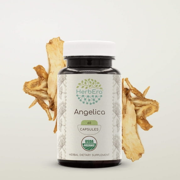 HerbEra Angelica Capsules, Organic Herbal Dietary Supplement for Digestive and Vitality Support, Certified Organic Angelica (Angelica archangelica) Dried Root Capsules, Natural, 60 Capsules
