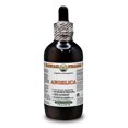 thumbnail image 1 of Angelica (Angelica Archangelica) Dry Root ALCOHOL-FREE Liquid Extract. Expertly Extracted by Trusted HawaiiPharm Brand. Absolutely Natural. Proudly made in USA. Glycerite 4 Fl.Oz, 1 of 3