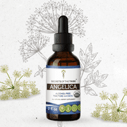Secrets Of The Tribe Angelica Organic Dietary Supplement, Natural Herbal Tincture for Digestive Support, Certified Organic Angelica Angelica archangelica Dried Root, Alcohol-Free Extract Drops 2 oz