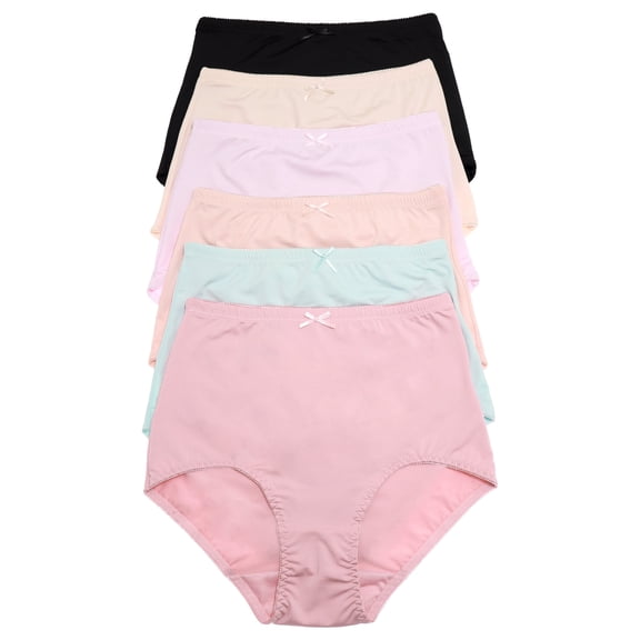 Angelina Women's Nylon High Waist Classic Briefs (6-Pack)