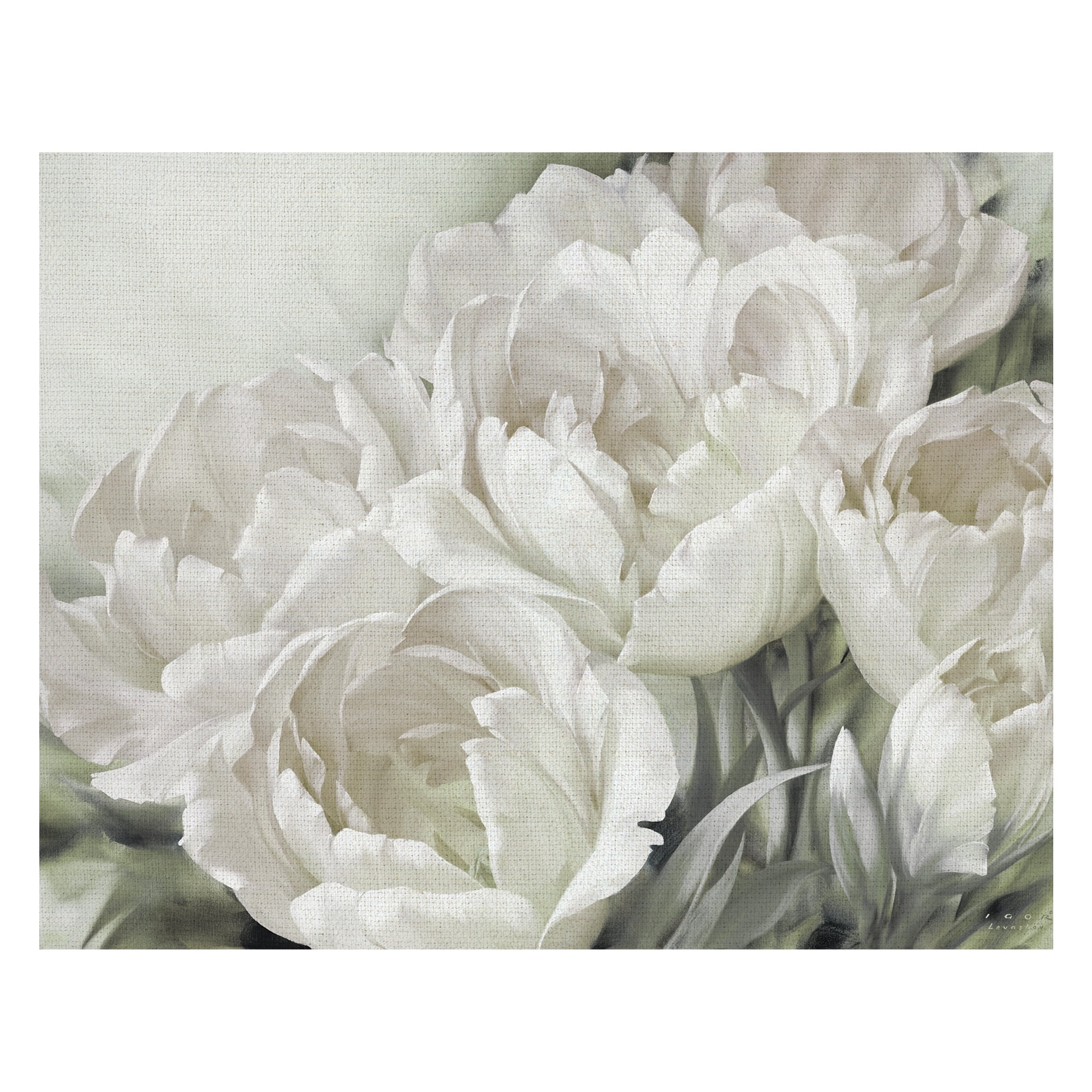 Angelique Tulips II White by Igor Levashov Wrapped Canvas Painting Art Print