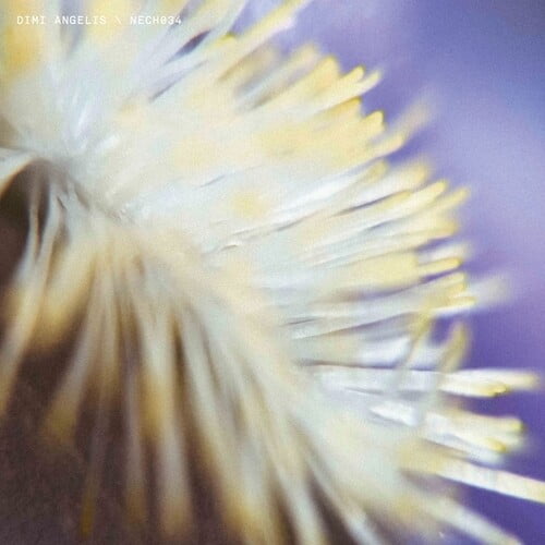 Dimi Angelis - NECH034 - Music & Performance - Vinyl