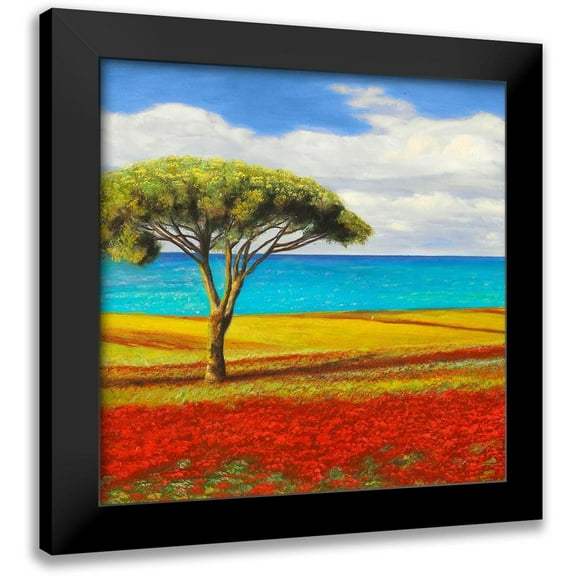 Angelo, Masera 12x12 Black Modern Framed Museum Art Print Titled - Mediterraneo I