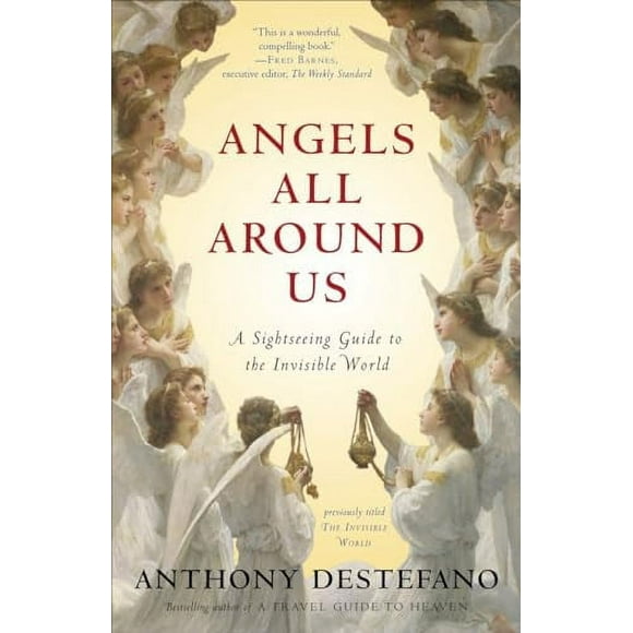 Angels All Around Us: A Sightseeing Guide to the Invisible World (Paperback)