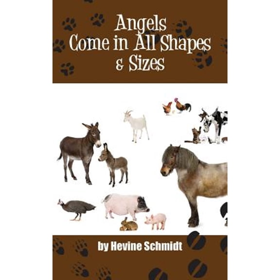 Pre-Owned Angels Come in All Shapes & Sizes (Hardcover 9781938501258) by Hevine Schmidt