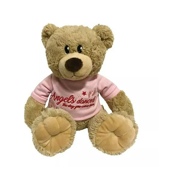 Angels Danced The Day You Were Born Bear - Pink