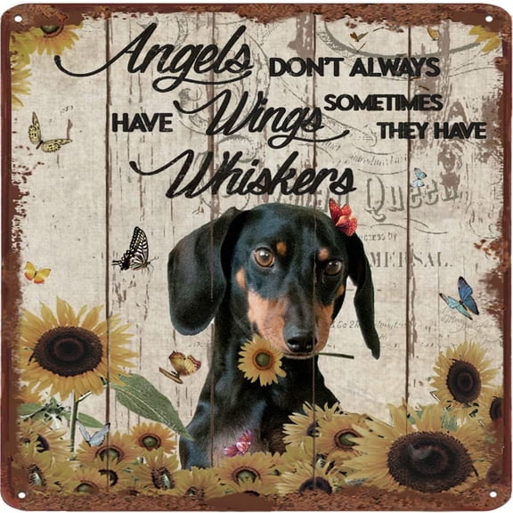 Angels Don't Always Have Wings Sometimes They Have Whiskers Vintage Tin Sign Dachshund Dog Lovers Gift Animal Inspirational Quote Metal Sign 12x12 inches