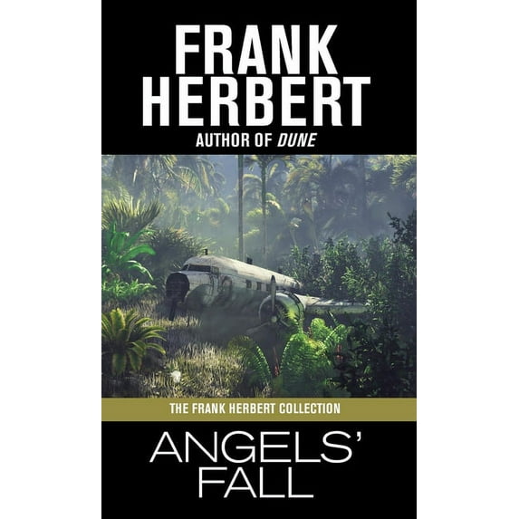 Angels' Fall, (Hardcover)