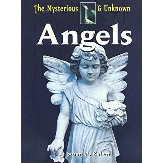 Pre-Owned Angels (Library Binding) 1601520557 9781601520555