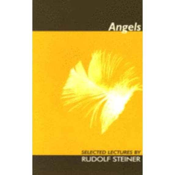 Pre-Owned Angels: Selected Lectures (Paperback) 185584060X 9781855840607