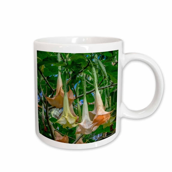 3drose, Angels Trumpet Tree, 11oz Mug