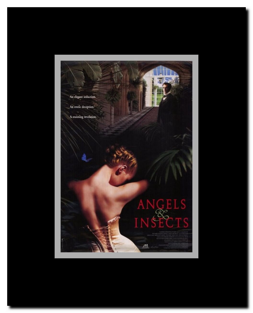 Angels and Insects Framed Movie Poster