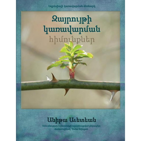 Anger Management Essentials in Armenian (Paperback)
