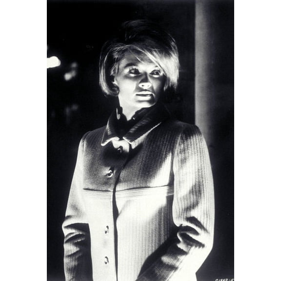 Angie Dickinson 24x36 Poster Rare Portrait in Overcoat Point Blank