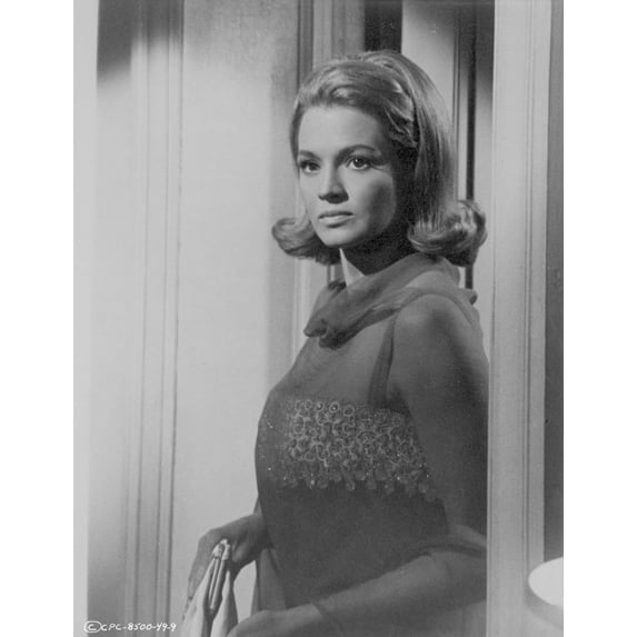 Angie Dickinson Leaning in Classic Portrait Photo Print (8 x 10)