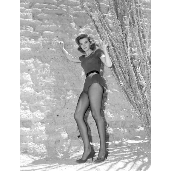 Angie Dickinson Posed in Sexy Dress Black and White Photo Print (8 x 10)