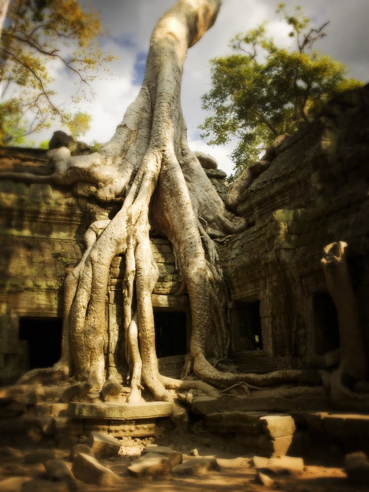 Angkor Wat Cambodia Canvas Art - Huy Lam Design Pics (12 x 16)