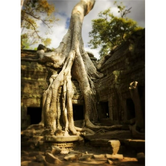 Angkor Wat - Cambodia Poster Print, 12 x 16