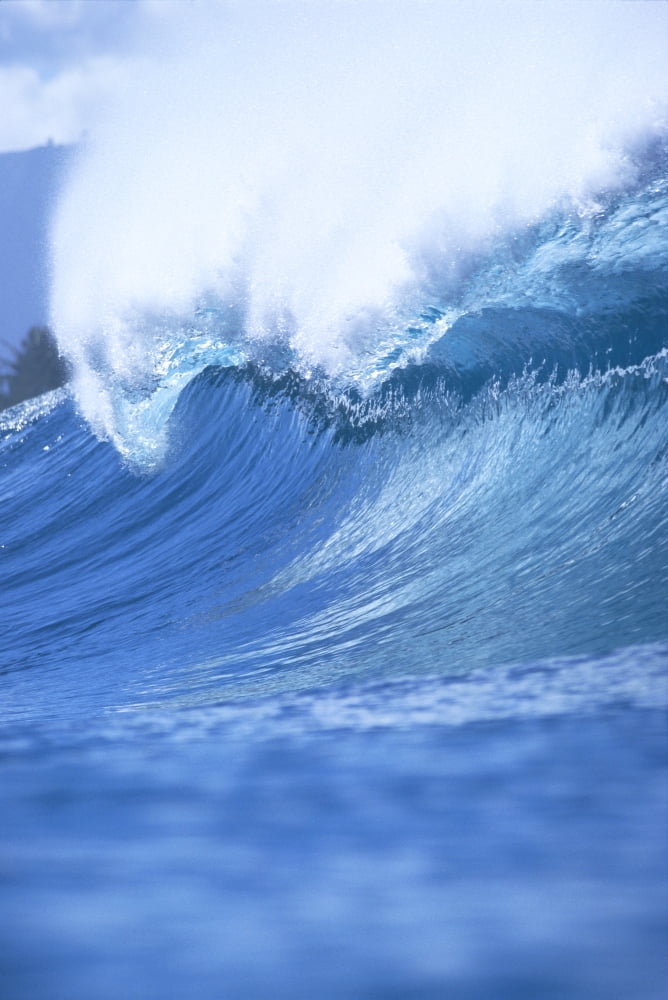 Angled View Of A Huge Wave With Whitewash Curling C1748 Canvas Art - Vince Cavataio Design Pics (12 x 19)