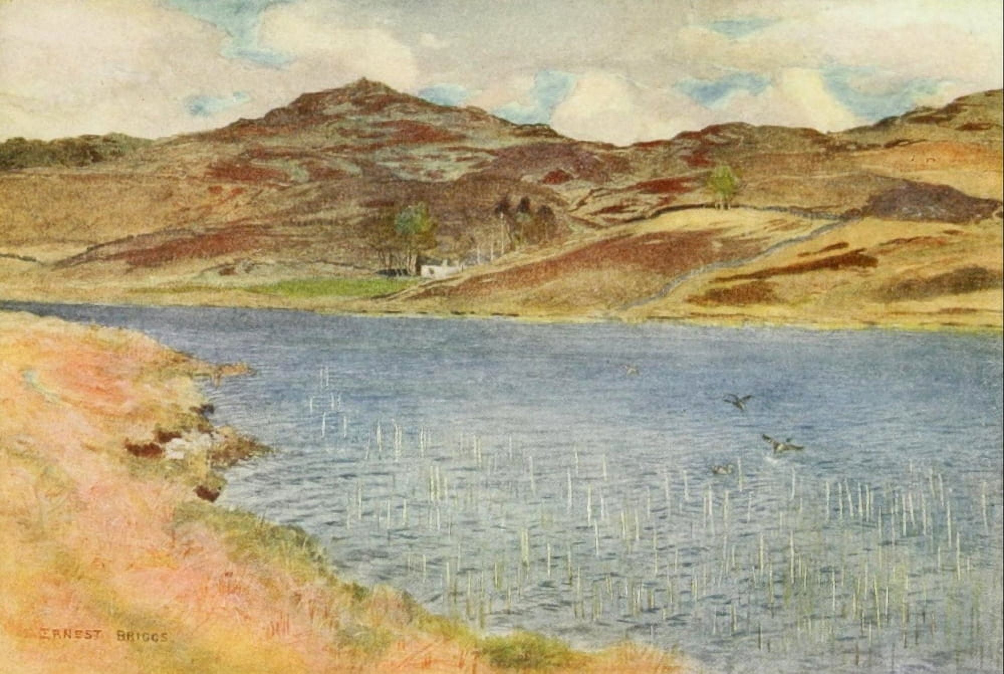 Angling & Art in Scotland 1908 Loch Howie or Wee Canvas Art - Ernest Briggs (24 x 36)