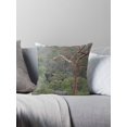 Angophora Throw Pillow Covers Cases Cushion Cover Case Sofa 20x20