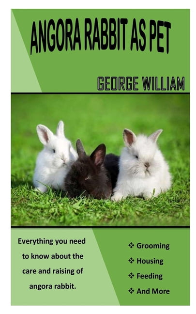 Angora Rabbit Care Guide : Everything you need to know about the care ...