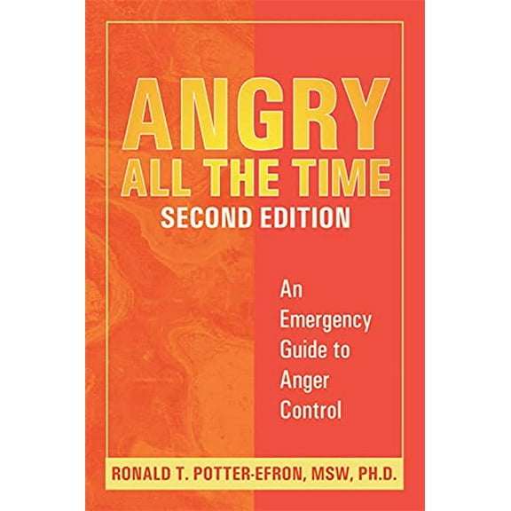 Pre-Owned Angry All the Time : An Emergency Guide to Anger Control (Edition 2) (Paperback)