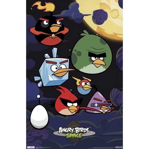 Angry Birds - Space Poster (24 x 36)