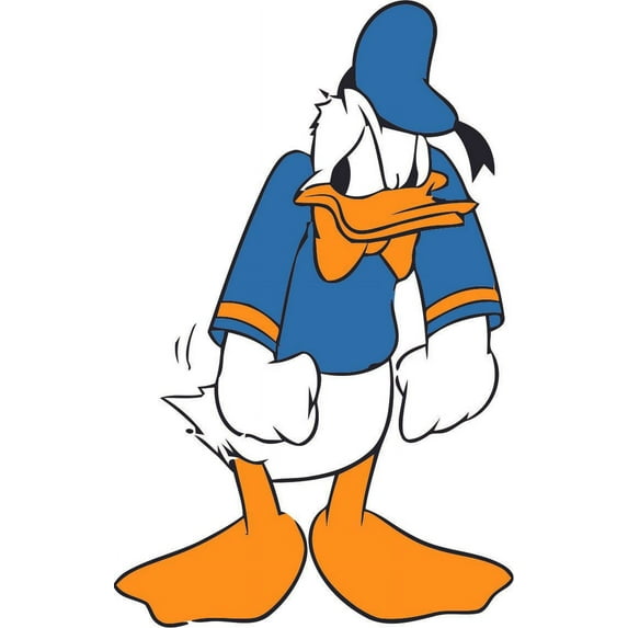 Angry Duck Cartoon Characters TV Show Toddler Toddlers Baby Babies Boy Girl Nursery Design Wall Decals for Bedroom Children's Decorations Kids Vinyl Art Decal Walls Rooms Size (30x15 inch)