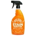 Angry Orange 24oz Enzyme Pet Stain and Odor Remover, Citrus Scent