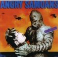 thumbnail image 1 of Angry Samoans - Back From Samoa - Music & Performance - CD, 1 of 1