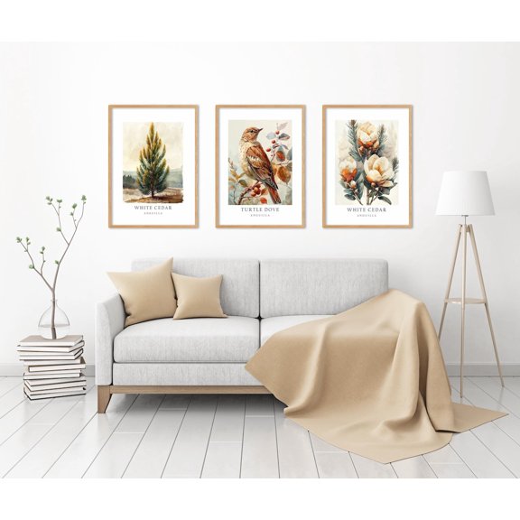 Anguilla National Symbols Poster Turtle Dove White Cedar Flower and Cedar Tree Wall Art Decor Set 3 Set 3