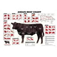 thumbnail image 1 of Angus Beef Chart Meat Cuts Diagram Poster 24 Inches x 36 Inches Art, 1 of 2