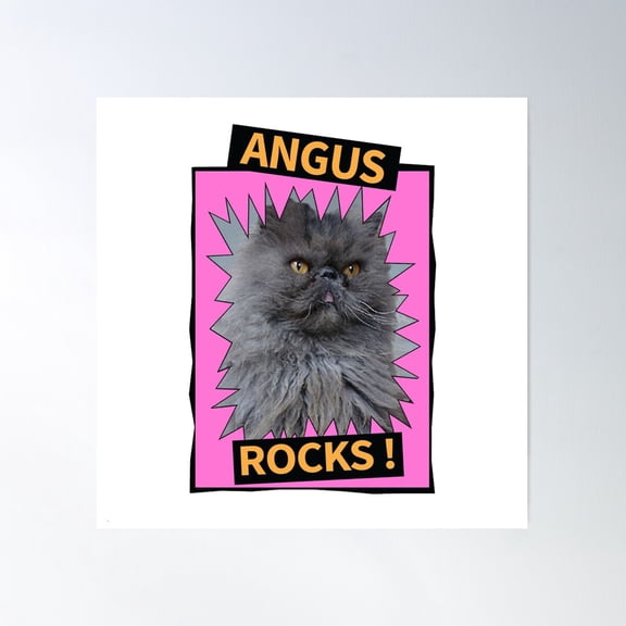 Angus Rocks Poster Wall Art, Modern Wall Decor For Living Room Bedroom, 24x36 UNFRAMED