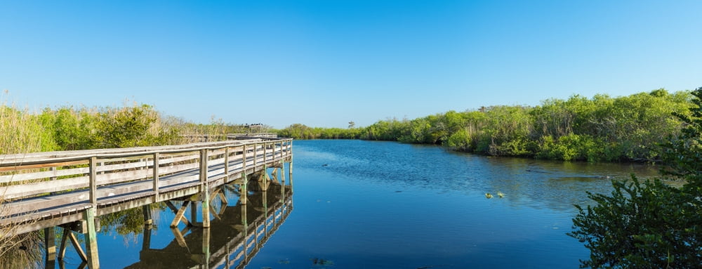 Anhinga Trail boardwalk Everglades National Park Florida USA Canvas Art - Panoramic Images (36 x 12)